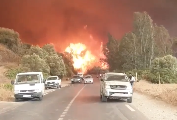 At least seven killed, two injured in Algeria forest fires | Climate Change News | Al Jazeera